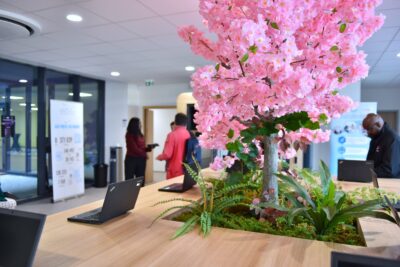 Agrandir l'image 4 sur 5, fenêtre modale