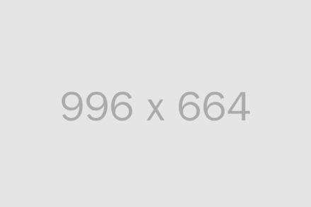 alt 996x664 - Agrandir l'image, fenêtre modale