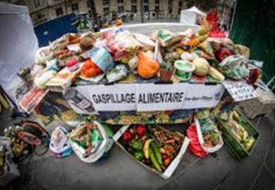 gaspillage_alimentaire.jpg