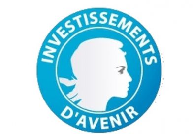 logo-ia.jpg