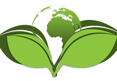 terre-plante.png
