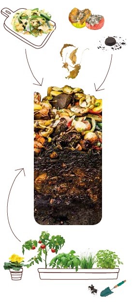 compostage.jpg